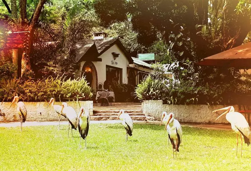 호텔 Mount Meru Game Lodge