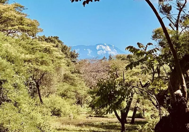 호텔 Mount Meru Game Lodge