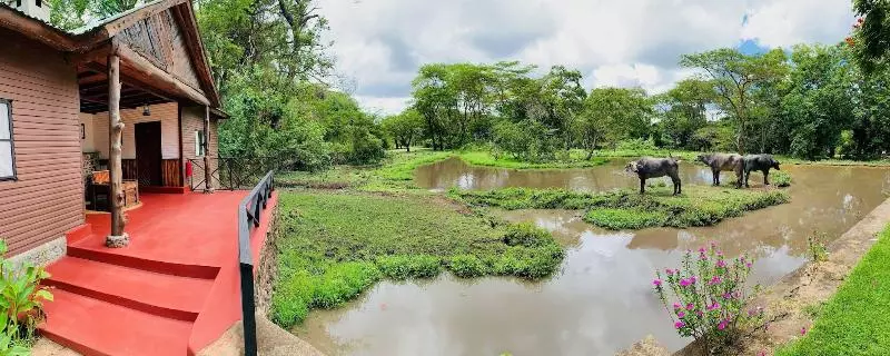 호텔 Mount Meru Game Lodge