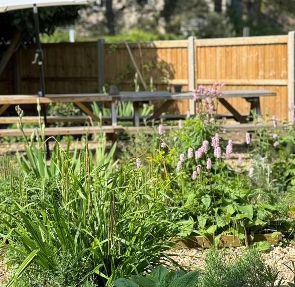 فندق Baskerville