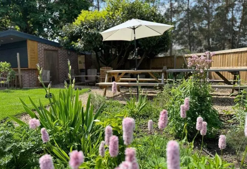 Отель Baskerville