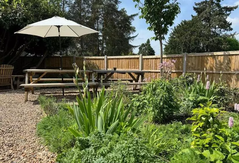 Отель Baskerville