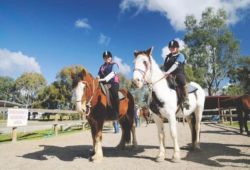 모텔 Georgian Motor Lodge