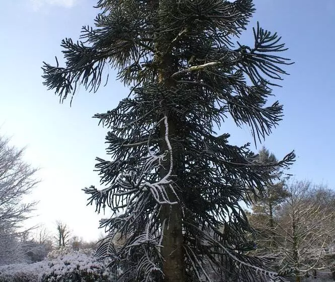 Пансион Moorlands