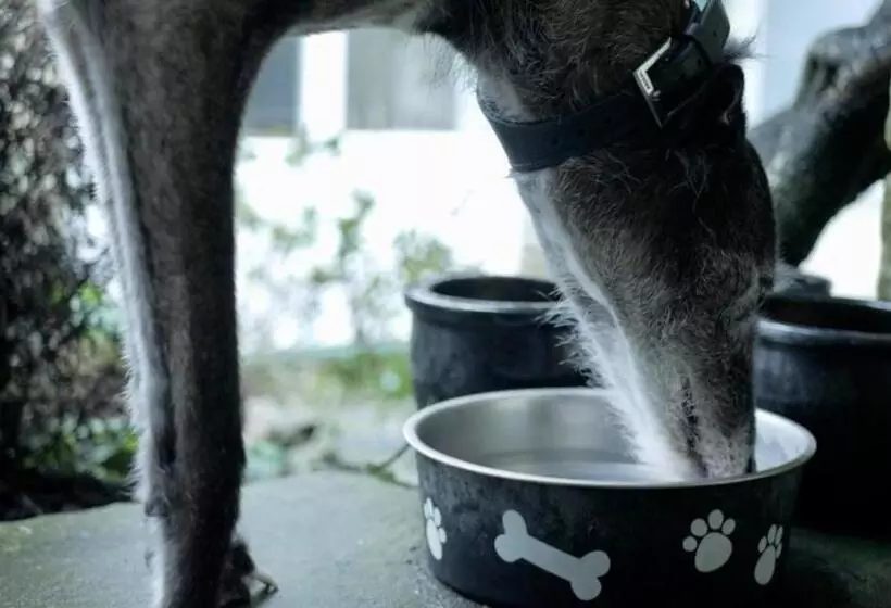 膳宿费 The Barn Guest House And Tearoom