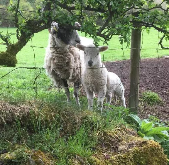 膳宿费 The Barn Guest House And Tearoom