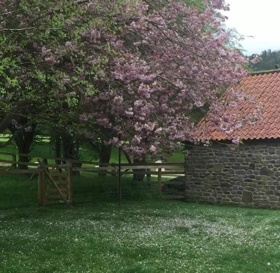 膳宿费 The Barn Guest House And Tearoom