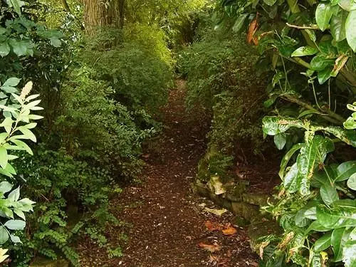 The Willows Bed & Breakfast - Guest House