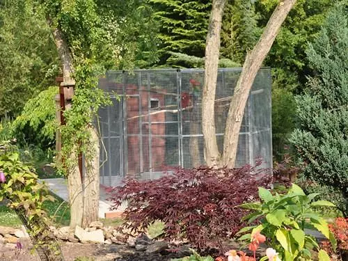 The Willows Bed & Breakfast - Guest House