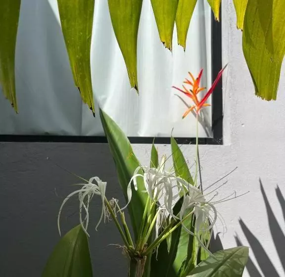 Retkeilymaja Quattuor Cabanas. Privacidade E Conforto Com Hidromassagem