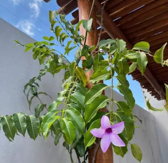 Retkeilymaja Quattuor Cabanas. Privacidade E Conforto Com Hidromassagem