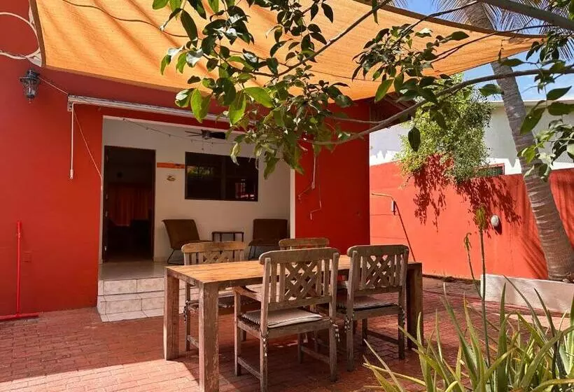 تختخواب و صبحانه Woodstock Palmresort Curaçao
