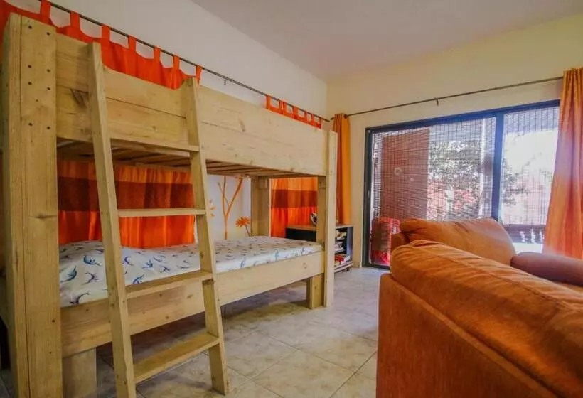 تختخواب و صبحانه Woodstock Palmresort Curaçao