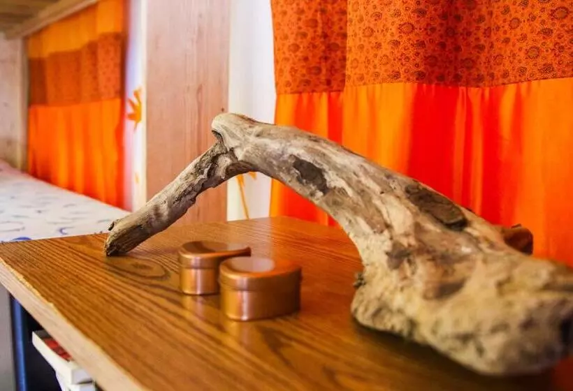 تختخواب و صبحانه Woodstock Palmresort Curaçao