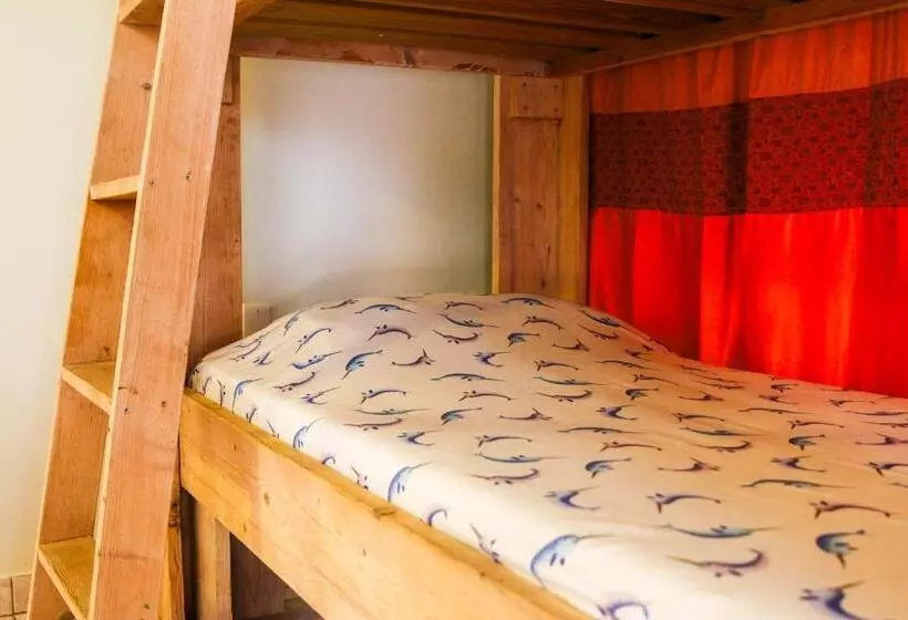 تختخواب و صبحانه Woodstock Palmresort Curaçao