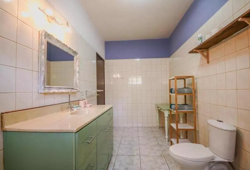 تختخواب و صبحانه Woodstock Palmresort Curaçao