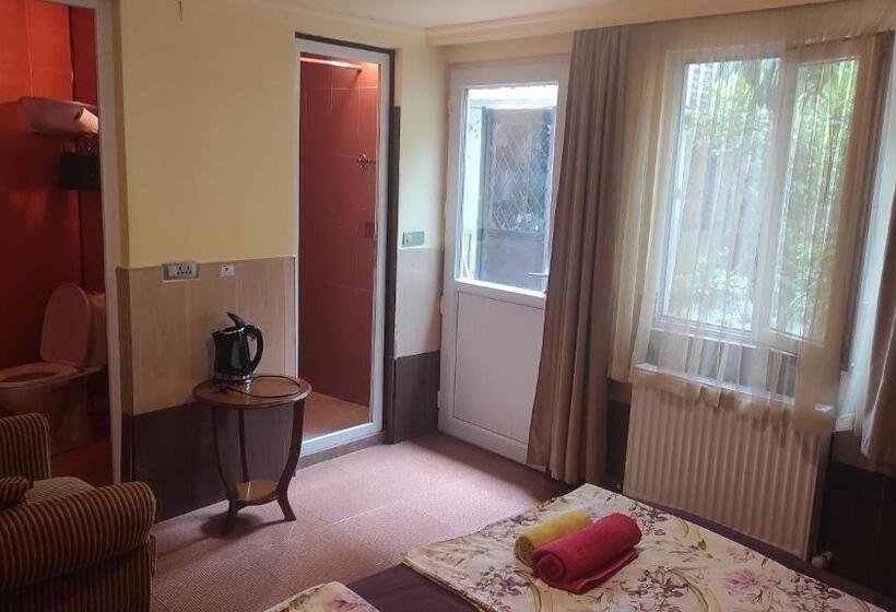 پانسیون Guesthouse In Batumi 97