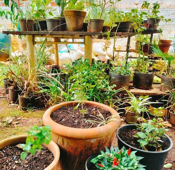 פנסיון Ikigai Brasil Houses