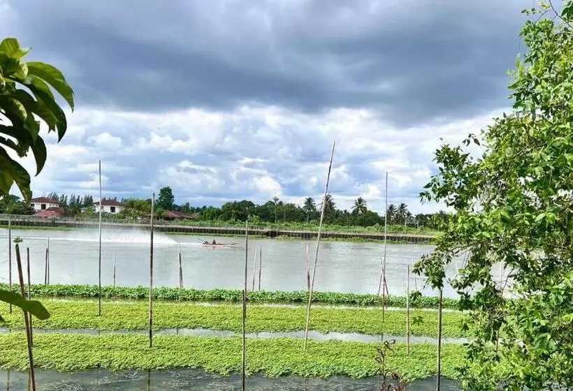 ベッドアンドブレックファースト มิสเตอร์ที โฮมสเตย์ มะเหมี่ยว