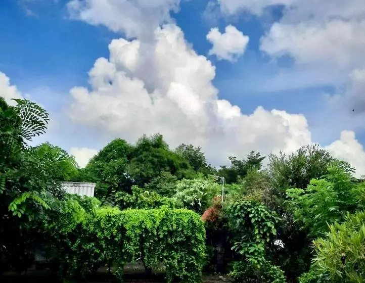 ベッドアンドブレックファースト มิสเตอร์ที โฮมสเตย์ มะเหมี่ยว