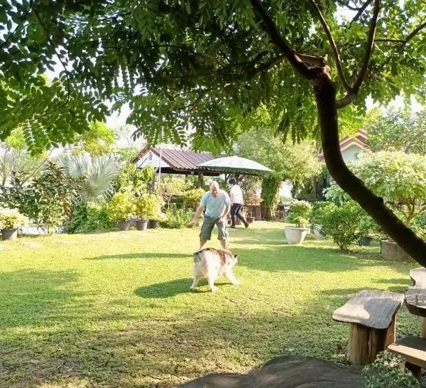 ベッドアンドブレックファースト มิสเตอร์ที โฮมสเตย์ มะเหมี่ยว