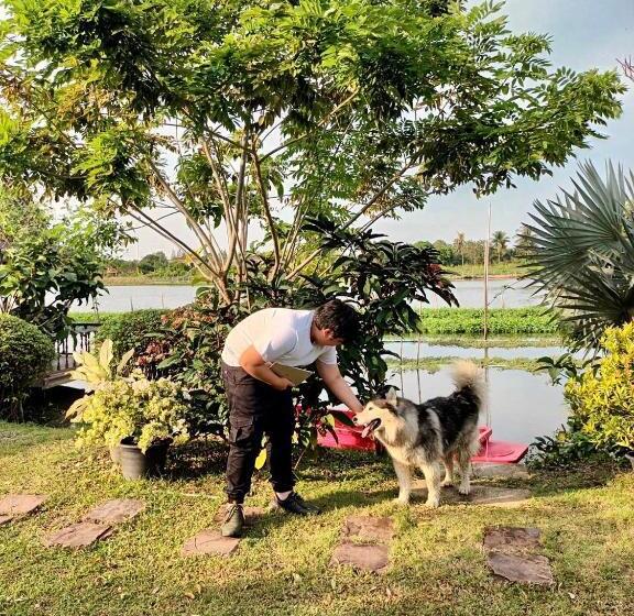 تختخواب و صبحانه มิสเตอร์ที โฮมสเตย์ มะเหมี่ยว