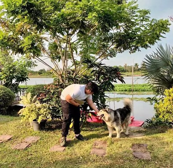 ベッドアンドブレックファースト มิสเตอร์ที โฮมสเตย์ มะเหมี่ยว