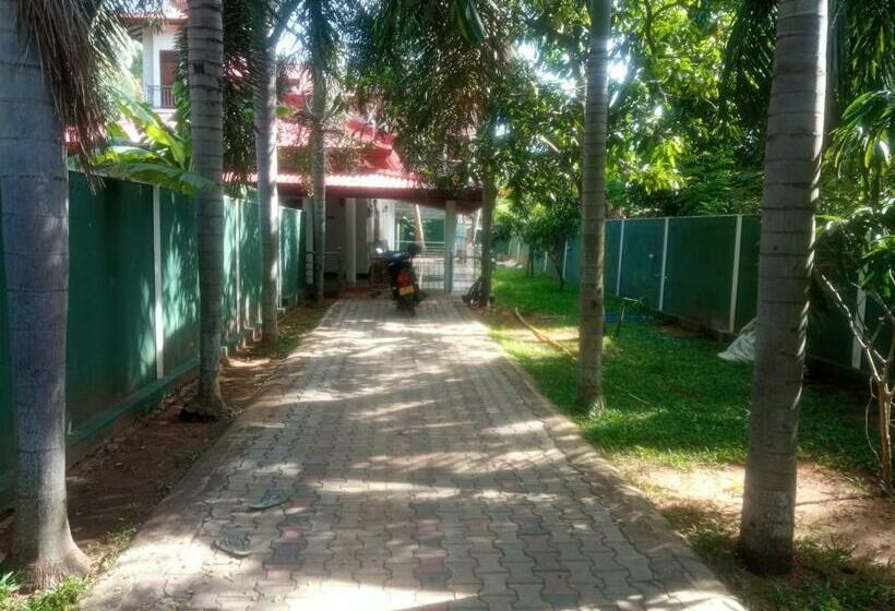 פנסיון Green Plaza