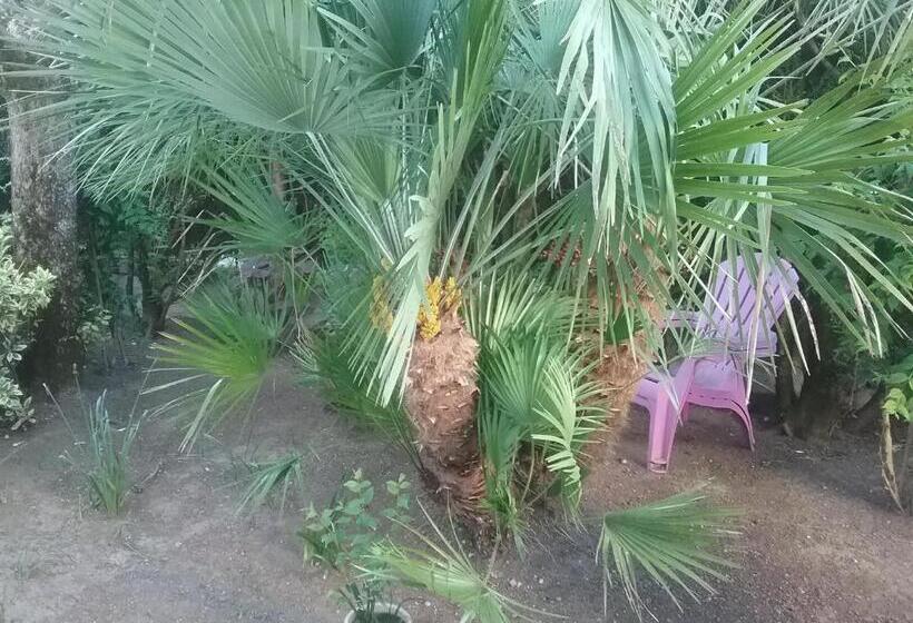 بنسيون Chambre De La Roseraie