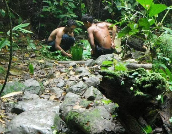 Majatalo Tour & Travel Guide