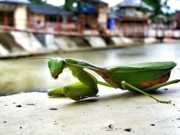 Majatalo Tour & Travel Guide