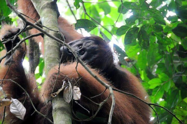 Majatalo Tour & Travel Guide