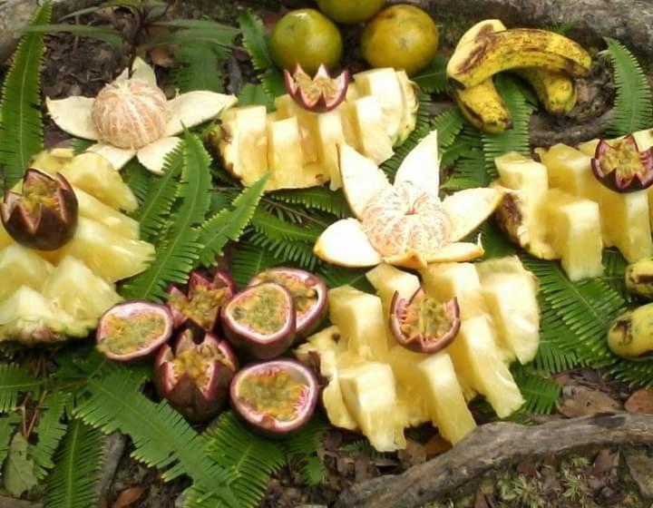 Majatalo Tour & Travel Guide