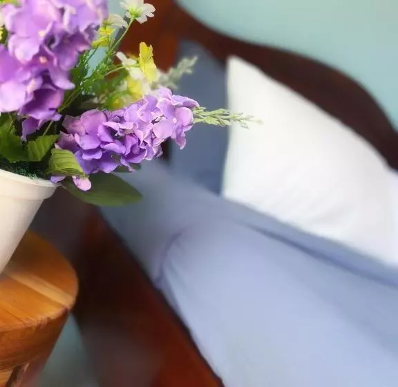 Majatalo Twocans Resort Kohmak   Sha