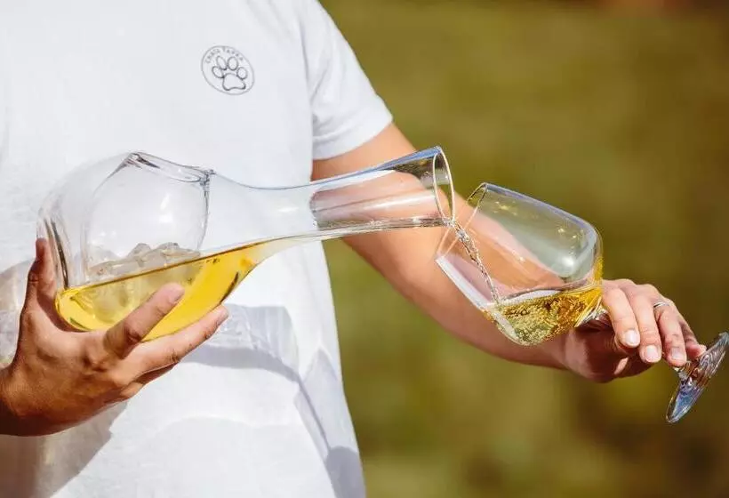 Majatalo Chata ťapka