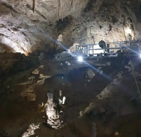 ペンション Vila Dionysos Brasov