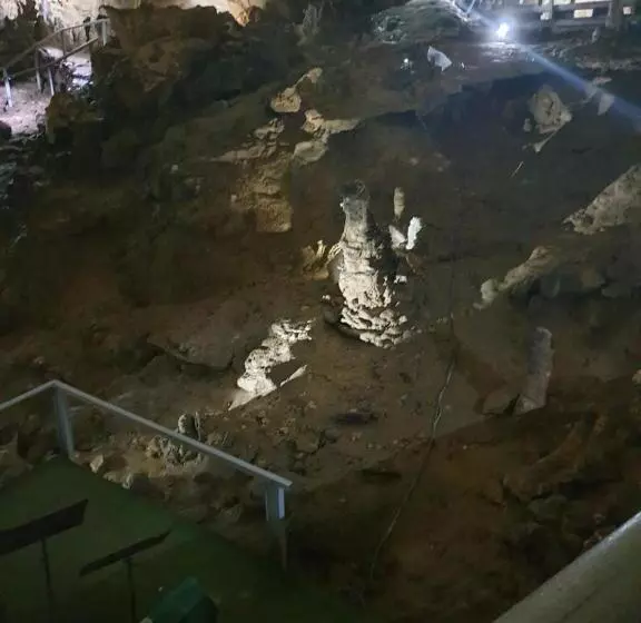 ペンション Vila Dionysos Brasov