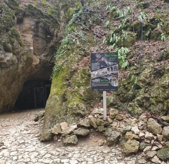 ペンション Vila Dionysos Brasov