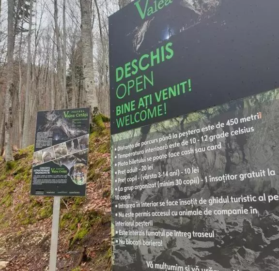 ペンション Vila Dionysos Brasov