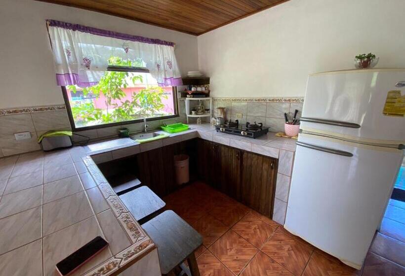 مبيت وإفطار Twin Palms Lodge