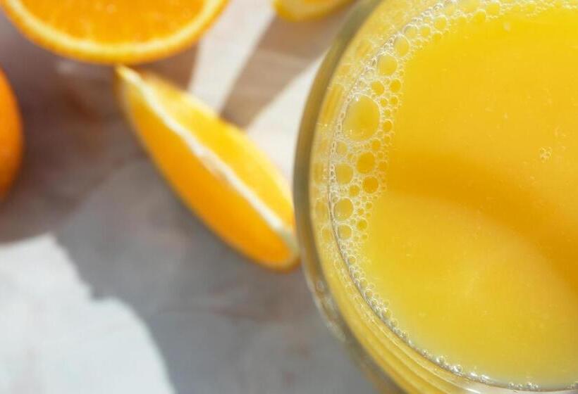 호텔 Vlaštovčí Dům