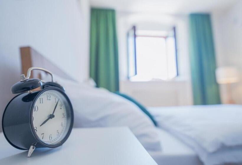 호텔 Vlaštovčí Dům