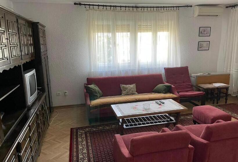 پانسیون Vidikovac Vrnjačka Banja