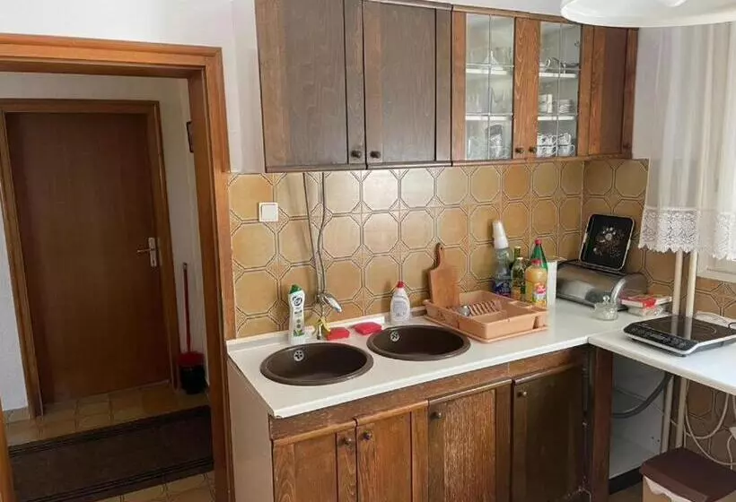 پانسیون Vidikovac Vrnjačka Banja