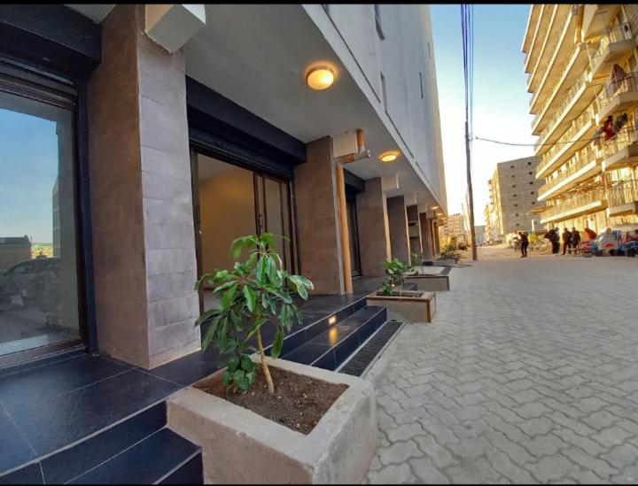 ベッドアンドブレックファースト Stemasky