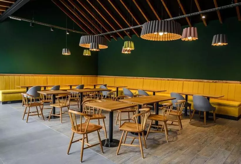 Gluck Patagonia Aparts