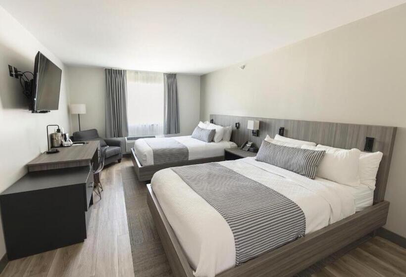 בית מלון כפרי The Farmstead