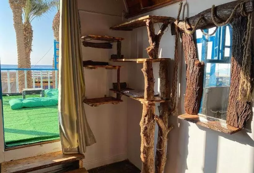 پانسیون Dream House