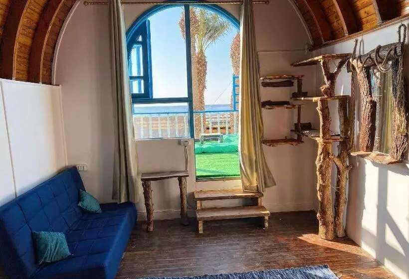 پانسیون Dream House