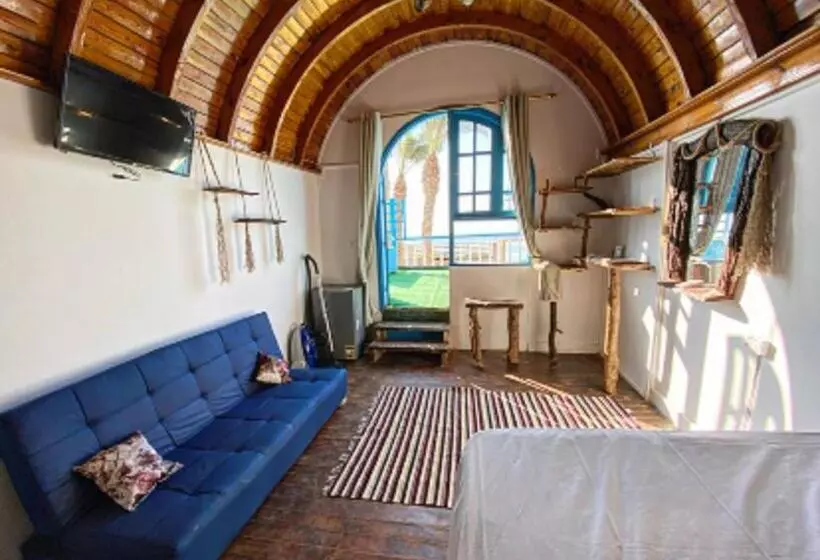 پانسیون Dream House